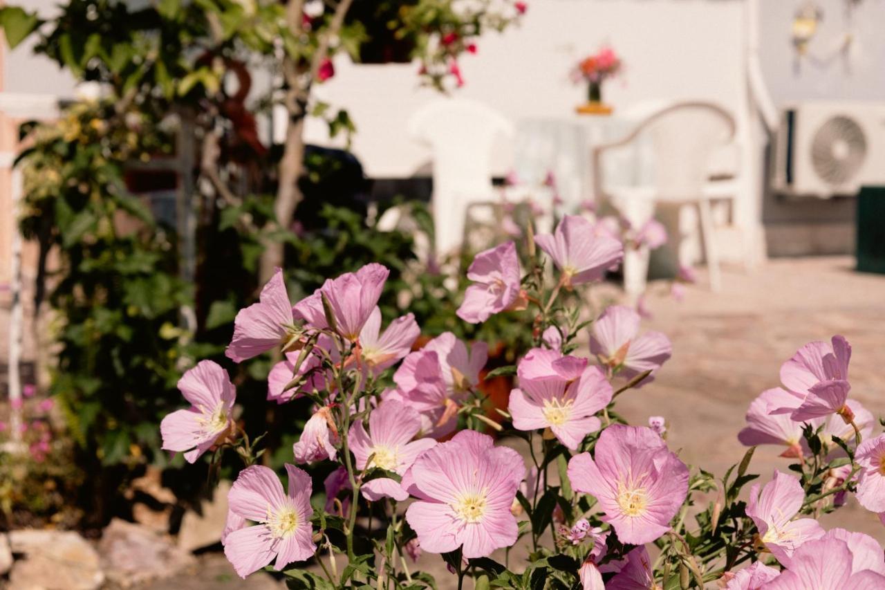 Irene'S Home Igoumenitsa Exterior photo