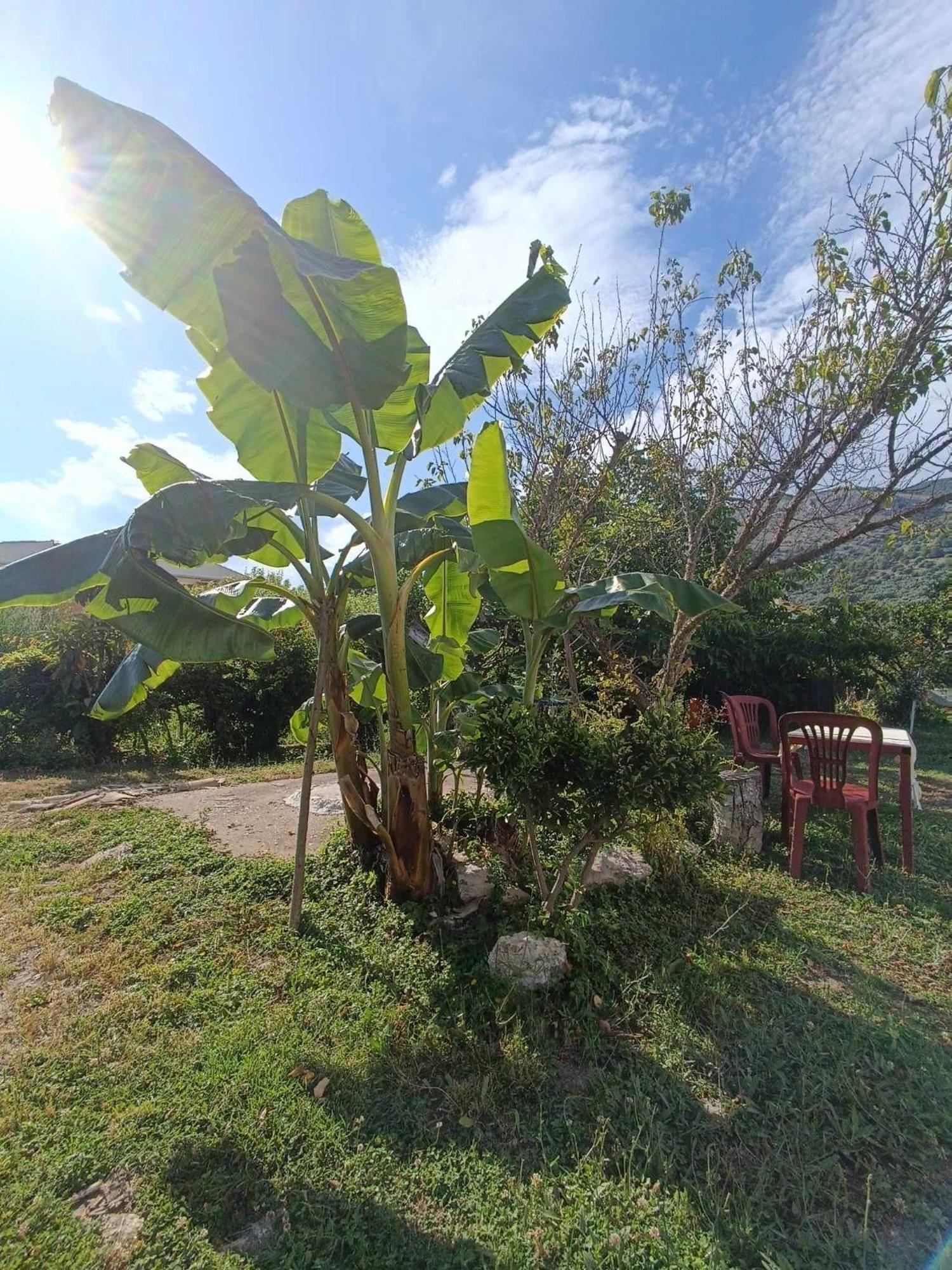 Irene'S Home Igoumenitsa Exterior photo